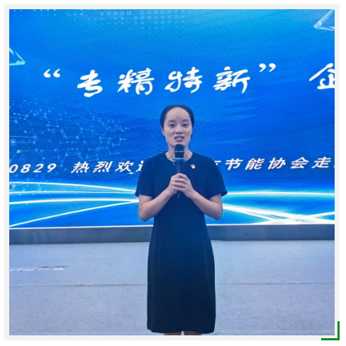 1724986919347040.png 1724986911306.png