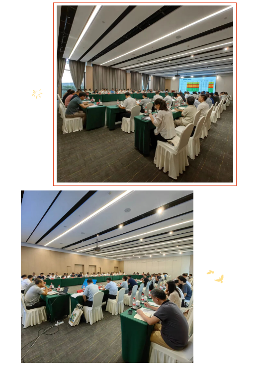 1756712363731842.png 1756712335553.png